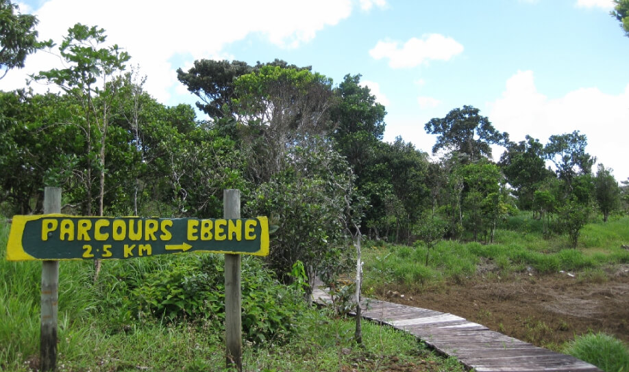 A small trek in the center of Mauritius