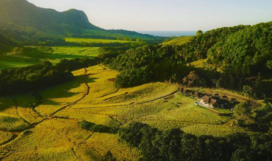 A great excursion safari at Ferney in Mauritius