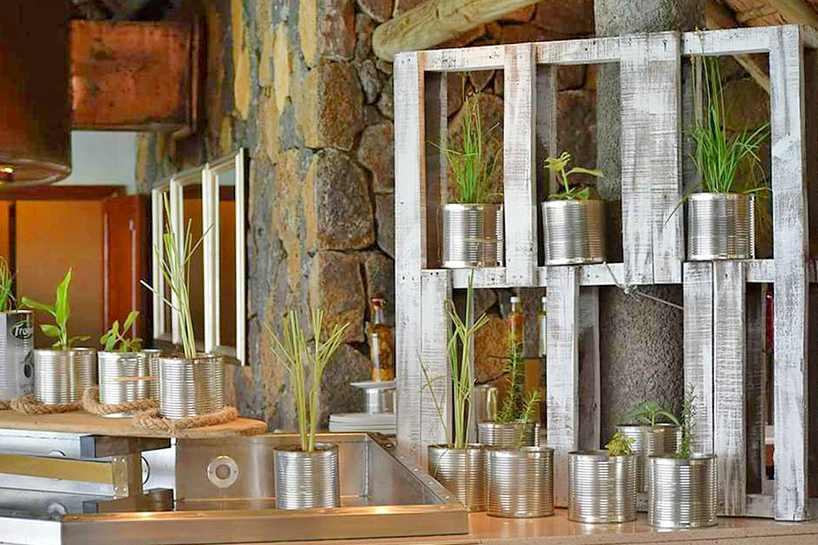 Reuse of tins as flower pots