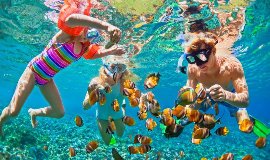 snorkelling in mauritius : fish