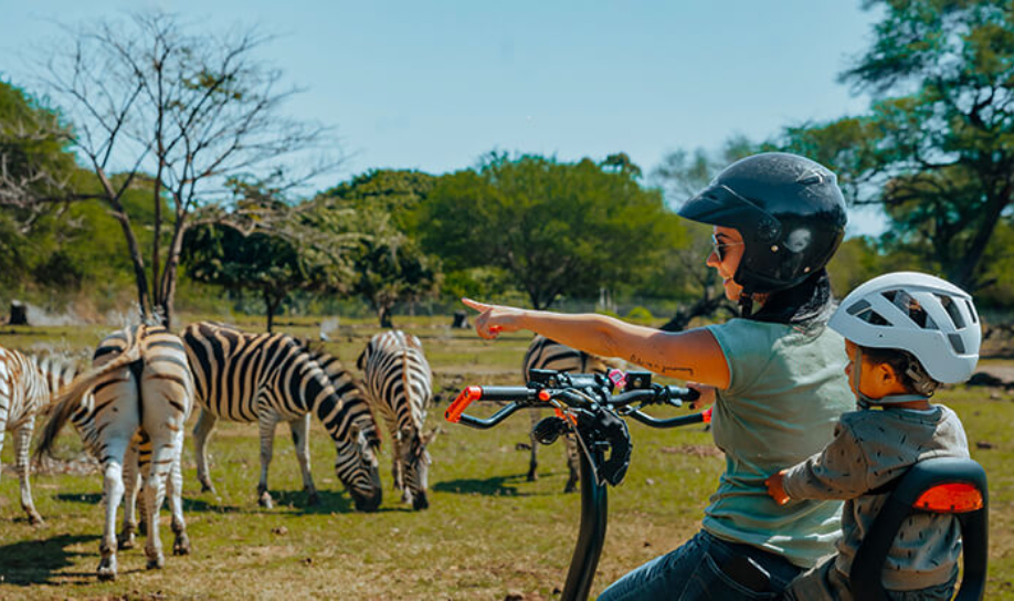 Casela Adventure Park