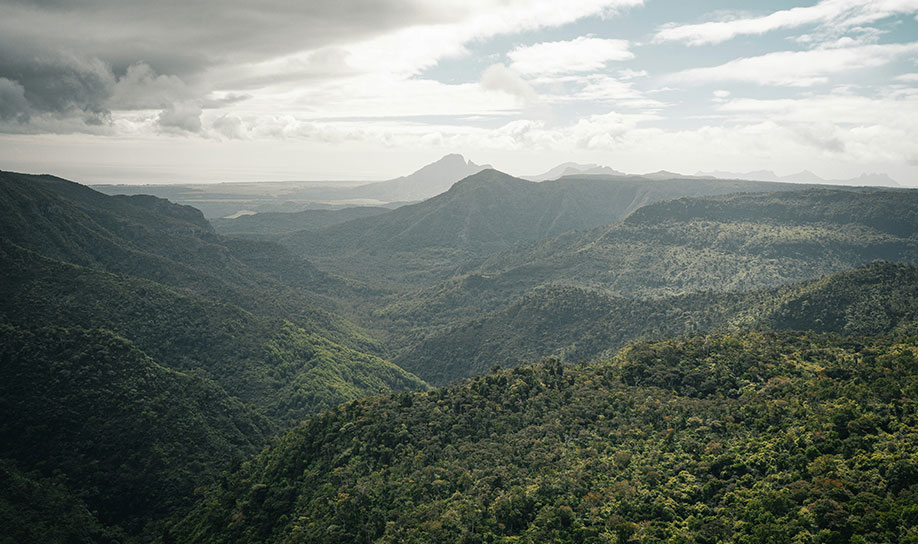 Black River Gorges National Park