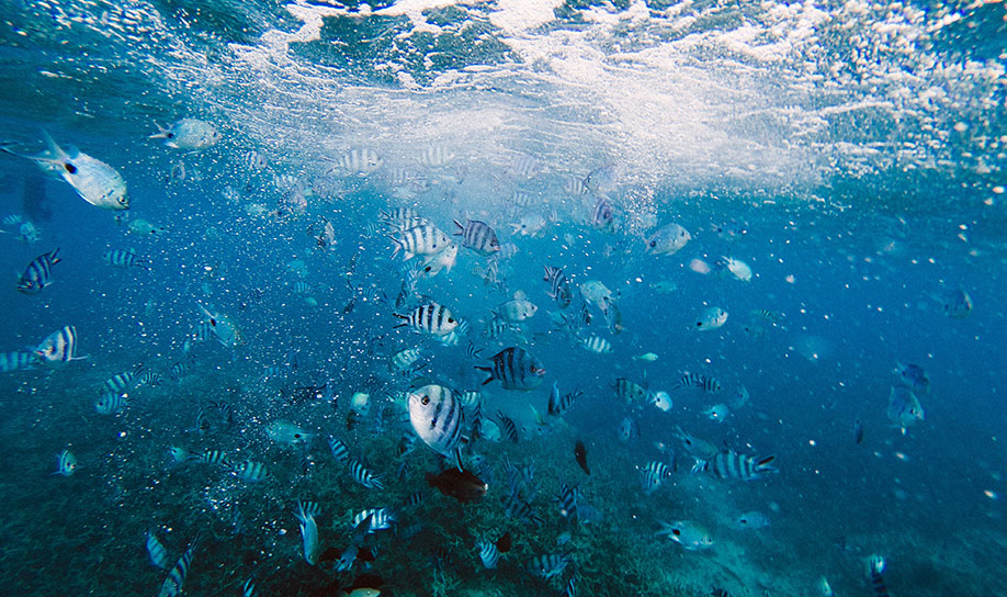Underwater Walk