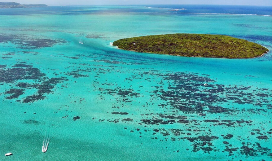The protected nature reserve islet of Mauritius