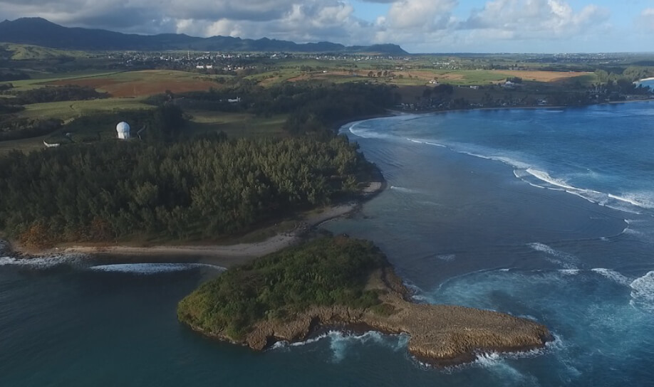 Islet with lush greenery and a barren