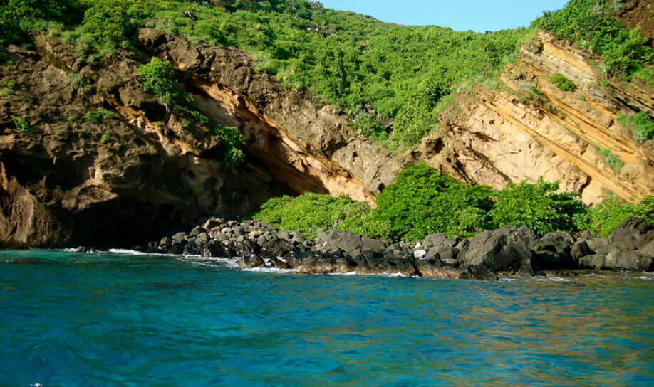 Protected haven for seabirds and rare plant species