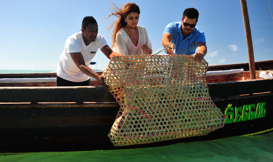 Experience the True Mauritius with Veranda Resorts
