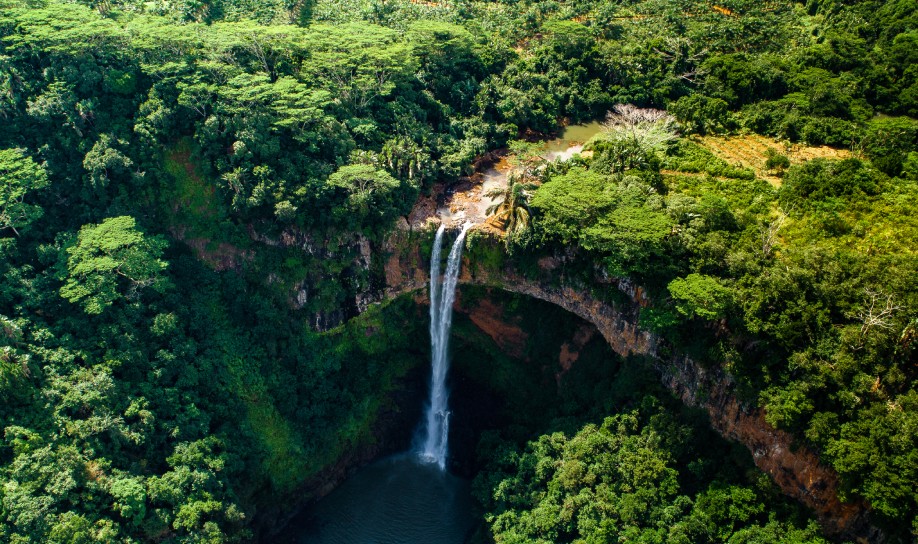 Mauritius biodiversity featuring a waterfall surrounded by lush forest