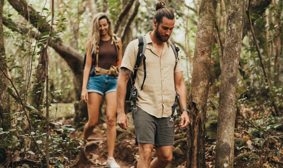 Forest trail at Bel Ombre Nature Reserve in Mauritius