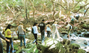 Nature Hike in beautiful reserve at Bel Ombre