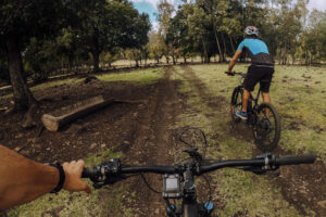 Adventure and Trekking in the Mauritius Forest