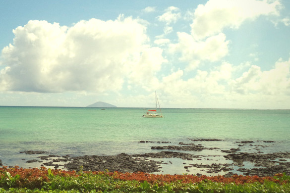 Deep into the blue: Story of a relaxing and refreshing escape