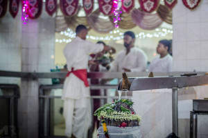 Offering prayers to Lord Shiva