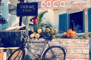 Fresh coconut water