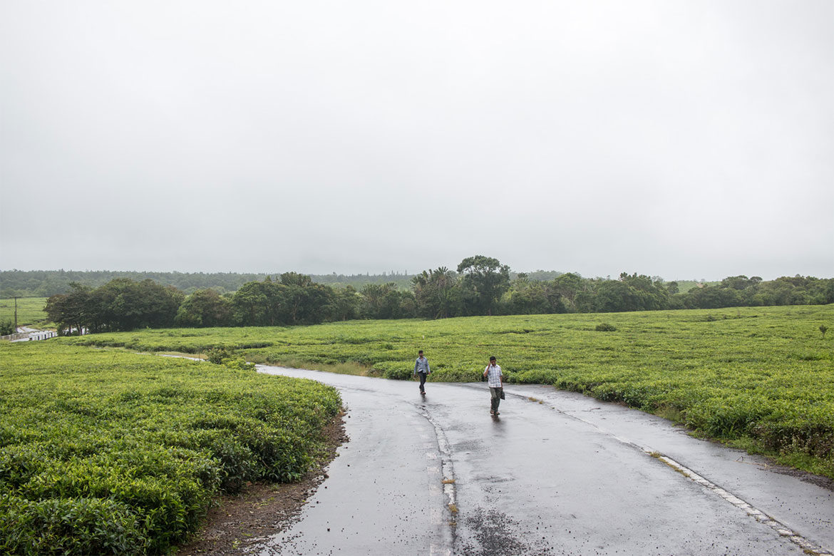 What to do on rainy days in Mauritius