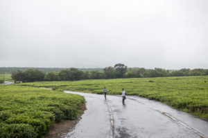 What to do on rainy days in Mauritius