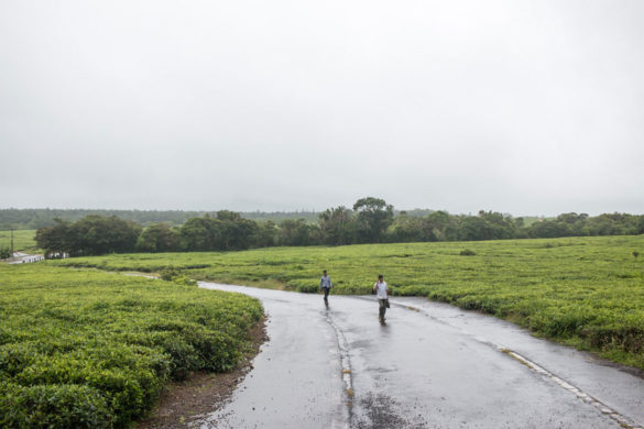 What to do on rainy days in Mauritius