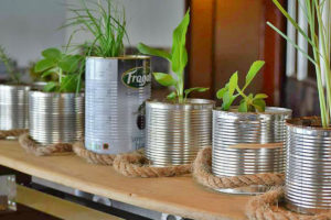 Earth Hour - make every little thing count