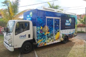 Reef conservation - Bis Lamer