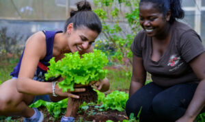 Sustainable Practice at Veranda Tamarin