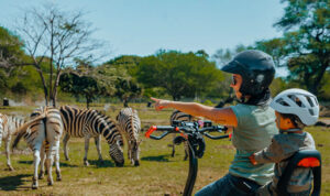 Casela Adventure Park