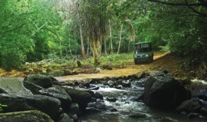 Frederica Nature Reserve in Bel Ombre