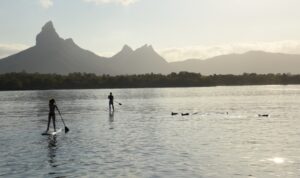 people paddling along dolphins in mauritius