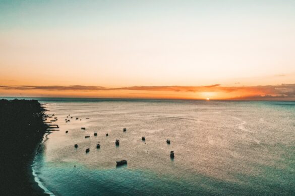 Things to do on the West Coast of Mauritius